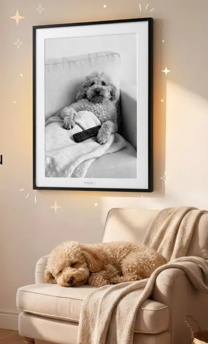 Un cuadro Barko colgado, con la mascota descansando cerca