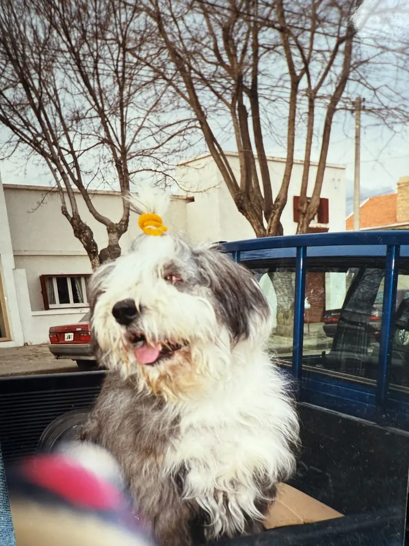 Matute, Rupert, Tilo