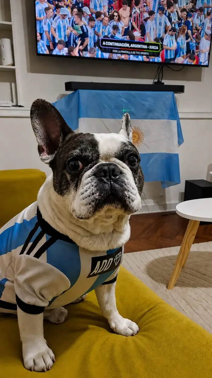 Foto del dueño de Dobby 1