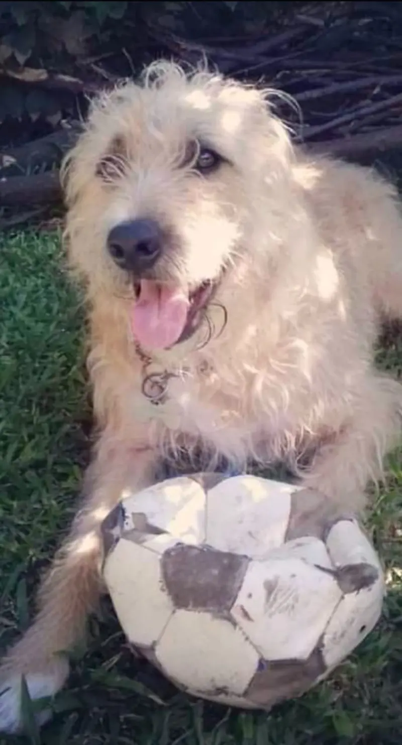 Ciro
