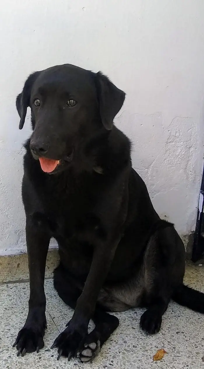Foto del dueño de La foto que nunca existió 1