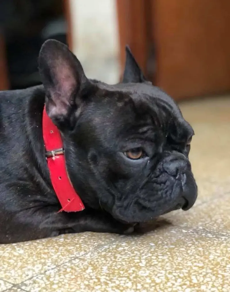 Coco