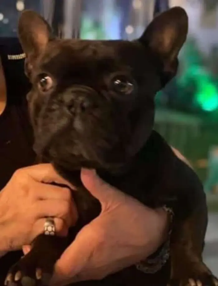 Foto del dueño de Coco 3