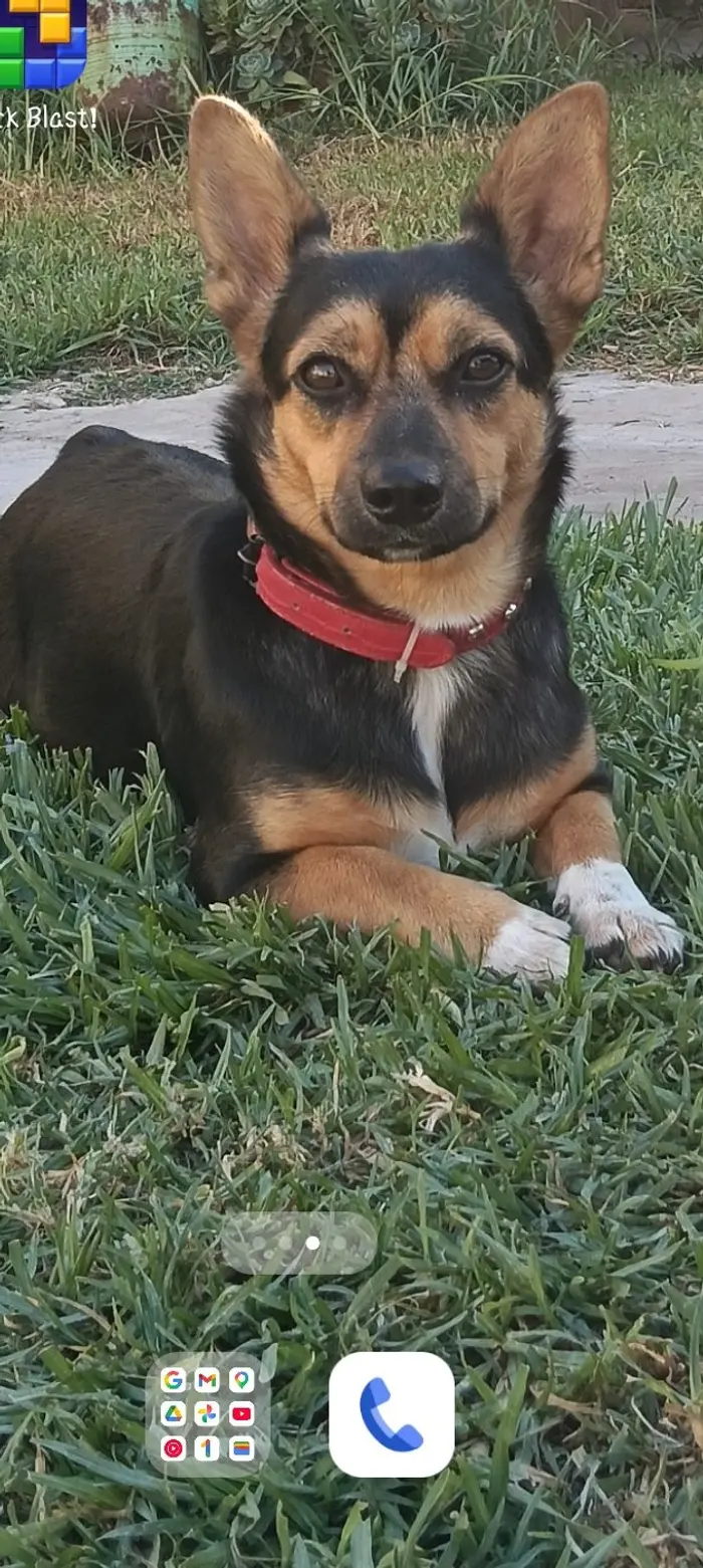 Foto del dueño de Banana, Mora 4