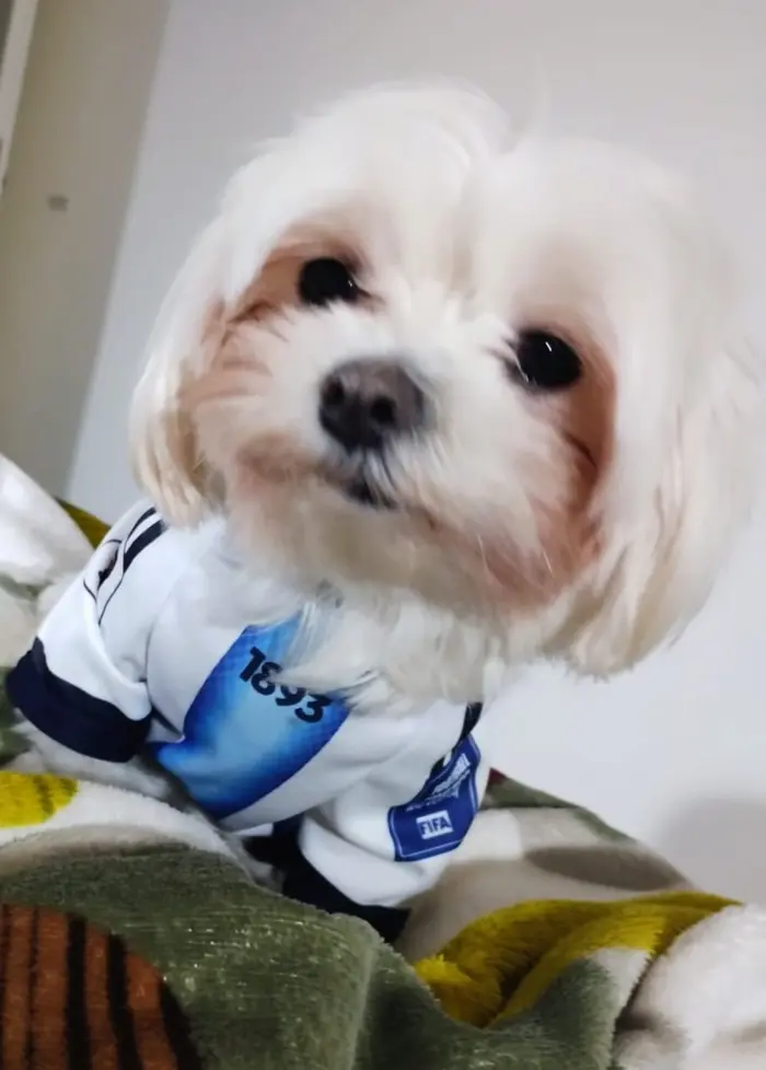 Foto del dueño de Tadeo 4