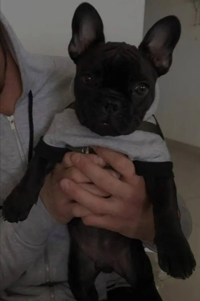 Foto del dueño de Coco 4